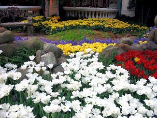 Клумбы с цветами - сады Белладжо