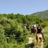 Чемпионат по конному туризму стартовал в Апулии