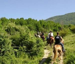 Чемпионат по конному туризму стартовал в Апулии