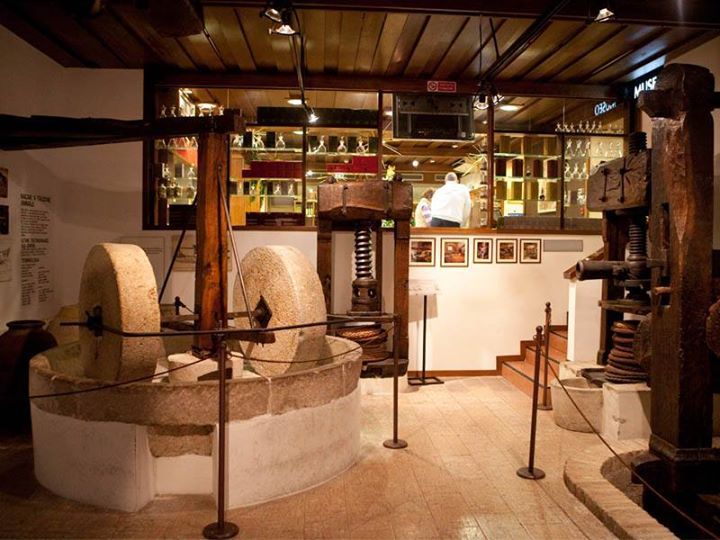Музей оливкового масла в Бардолино